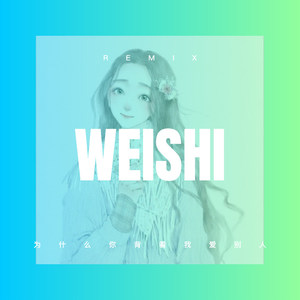 为什么你背着我爱别人 (Remix)