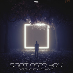 Don't Need You (Original Mix)