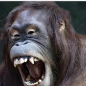 The Music is Blowing Up