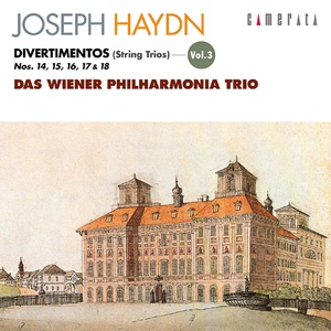 Haydn: Divertimentos, Vol. 3