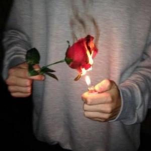 Fire vs. Roses