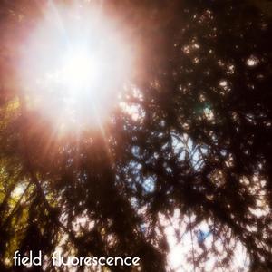 field fluorescence (Explicit)