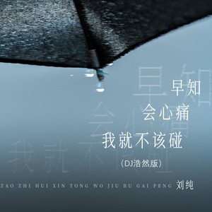 早知会心痛我就不该碰-刘纯