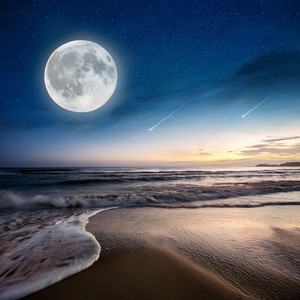 Melodías Envueltas En Medianoche