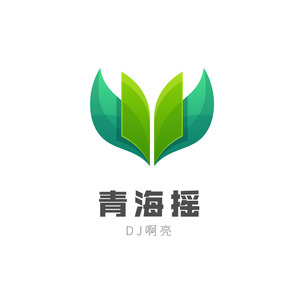 烟袋斜街抖音 (DJ版)