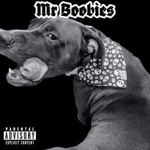 Mr. Boobies (Explicit)