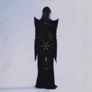 EVERYTHING IS WITHIN YOU (feat. TRIPPLEHAZE)