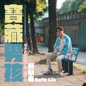 刘学甫 - 宝藏男孩 (Instrumental Version)
