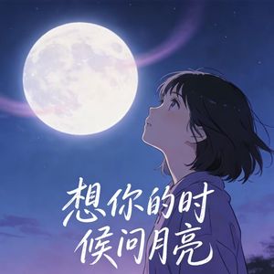 想你的时候问月亮