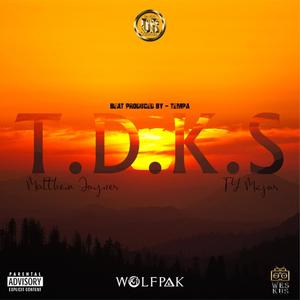 T. D. K. S (feat. Ty Mxjor) (Explicit)