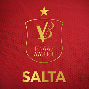 Salta (Mundial Brasil 2014)