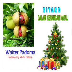 SITARO DALAM KENANGAN NATAL