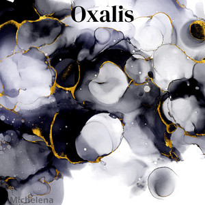 Oxalis
