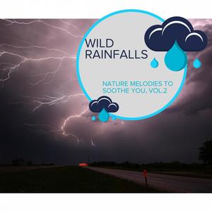 Wild Rainfalls - Nature Melodies to Soothe You, Vol.2