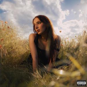 Villa & A House (Explicit)