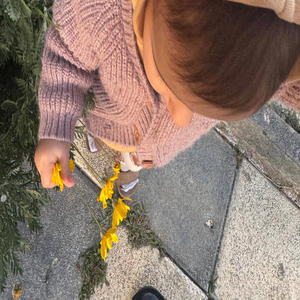 Kapına gelmem-Şeymakk