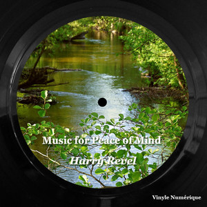 This Room Is My Castle Of Quiet