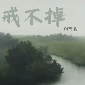 戒不掉-DJ阿嘉