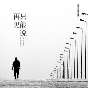 只能说再见