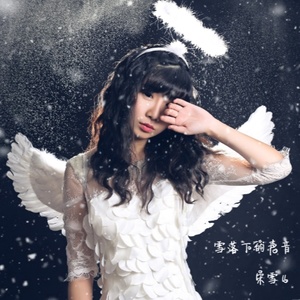 雪落下的声音-宋雪儿