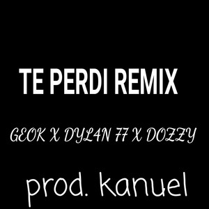 Te Perdi (Remix)