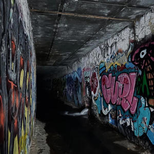 Live my life (feat. KDOG) (Live|Explicit)