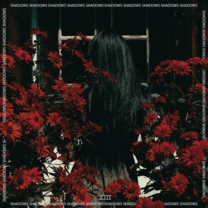 SHADOWS(feat. Ftureable)