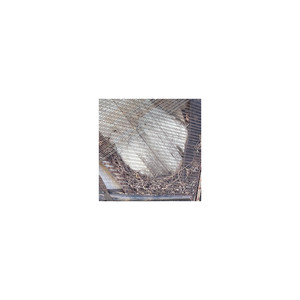 Top 5 ways to put another rapper on (Explicit)