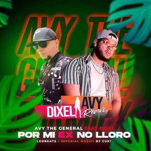 Por mi ex no lloro (feat. Dixel el mas completo) [Remix]