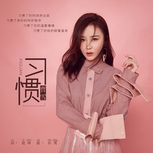 习惯 (DJheap九天版)