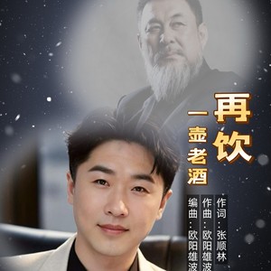 张顺林 - 再饮一壶老酒