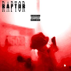 PLAYBOOK (Explicit)