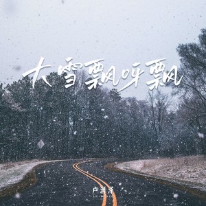 大雪飘呀飘 (DJ老鹏版)