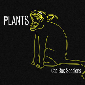 Cat Box Sessions