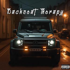 Backseat Therapy (Explicit)