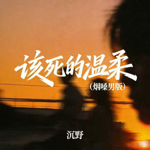 沉野 - 该死的温柔 (烟嗓男版)