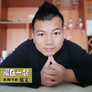 戴文 - 今生注定爱上你