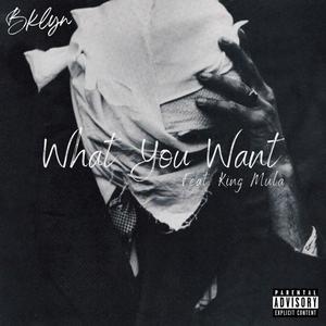 What You Want (Explicit)