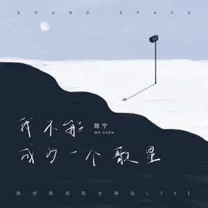 我不能成为一个歌星