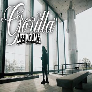 Gorilla (Explicit)