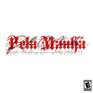 Pela Manhã (Speed)