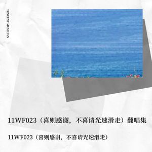 你的样子封面