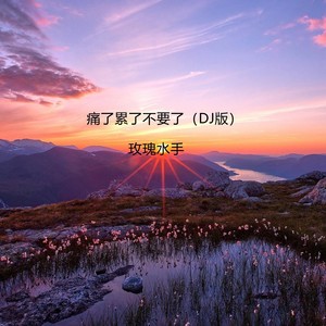 痛了累了不要了 (DJ版)