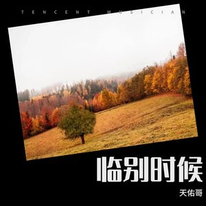 临别一眼封面