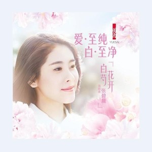 白芍花开封面