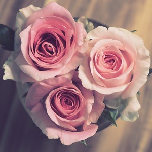 三八妇女节 (纯音乐)