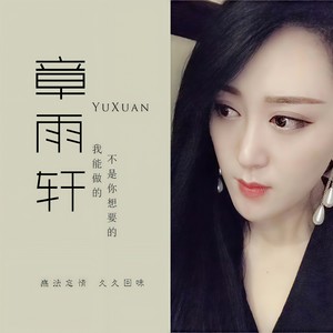 我能做的不是你想要的