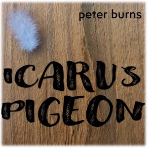 Icarus Pigeon