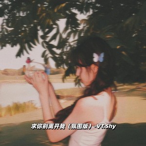 求你别离开我 (氛围版)封面