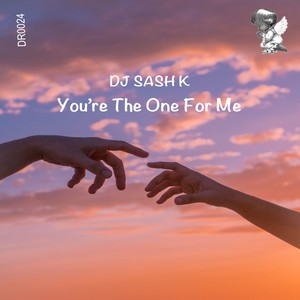 You're the One for Me (Extended Mix)